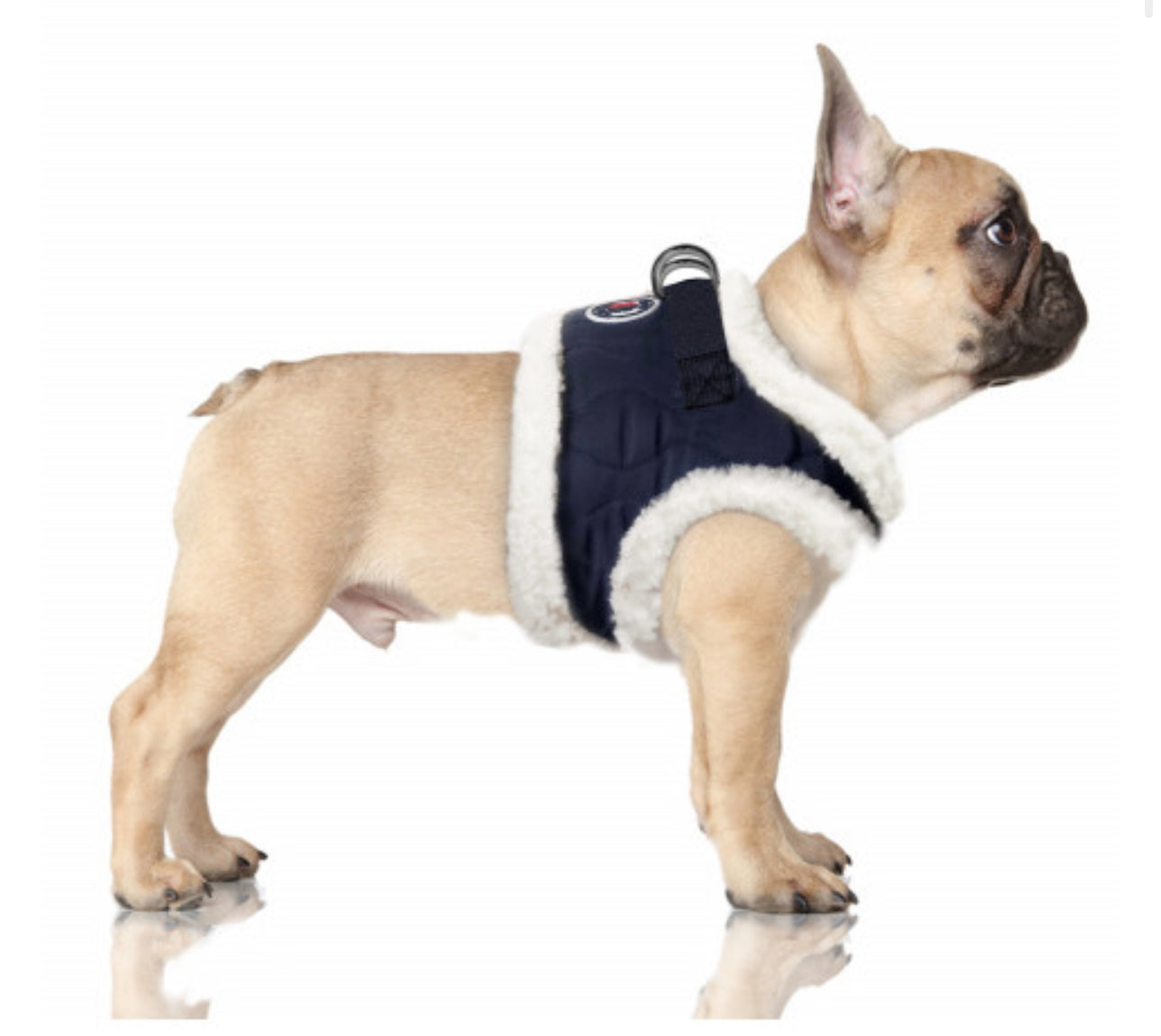 ELIO HARNESS fra Milk & Pepper