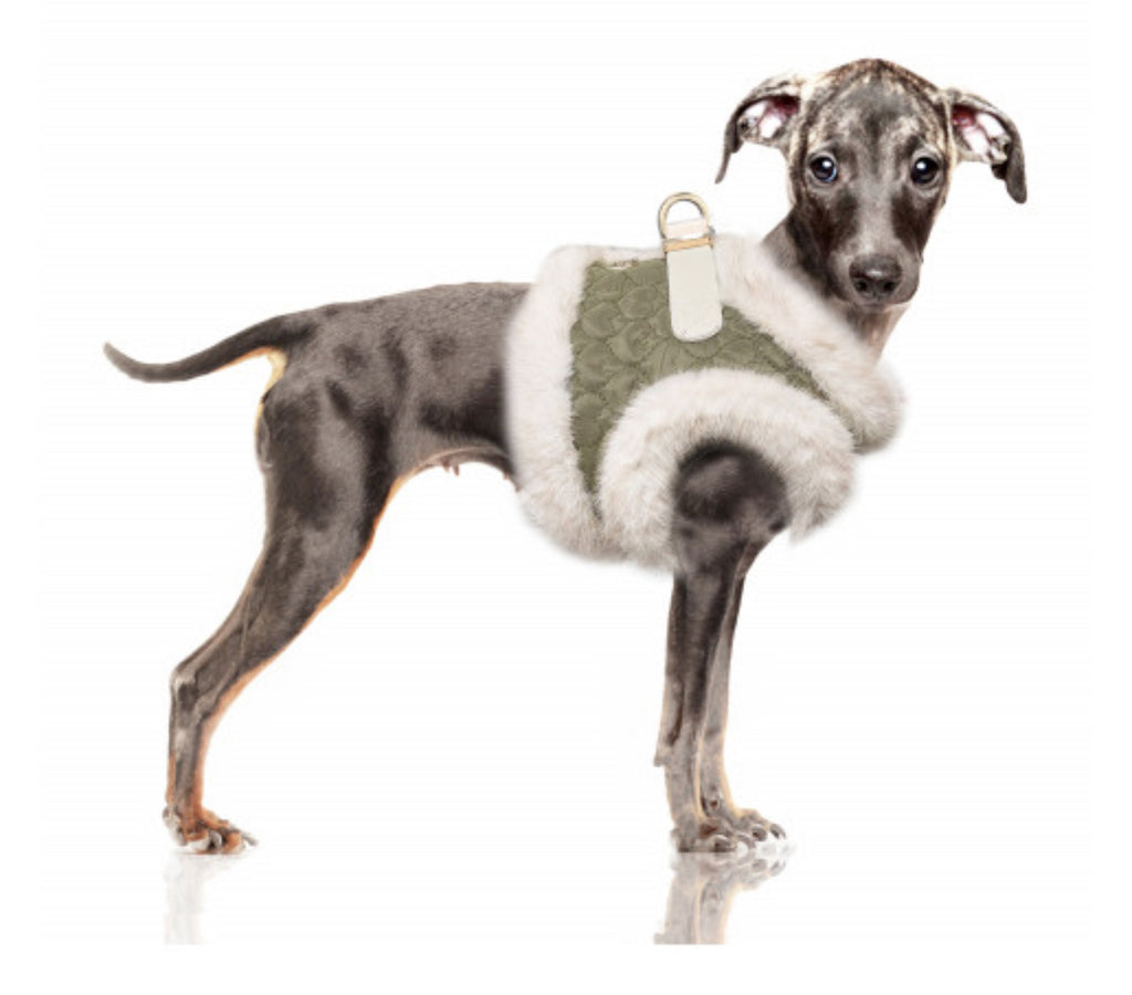 Clarice Harness fra Milk & Pepper