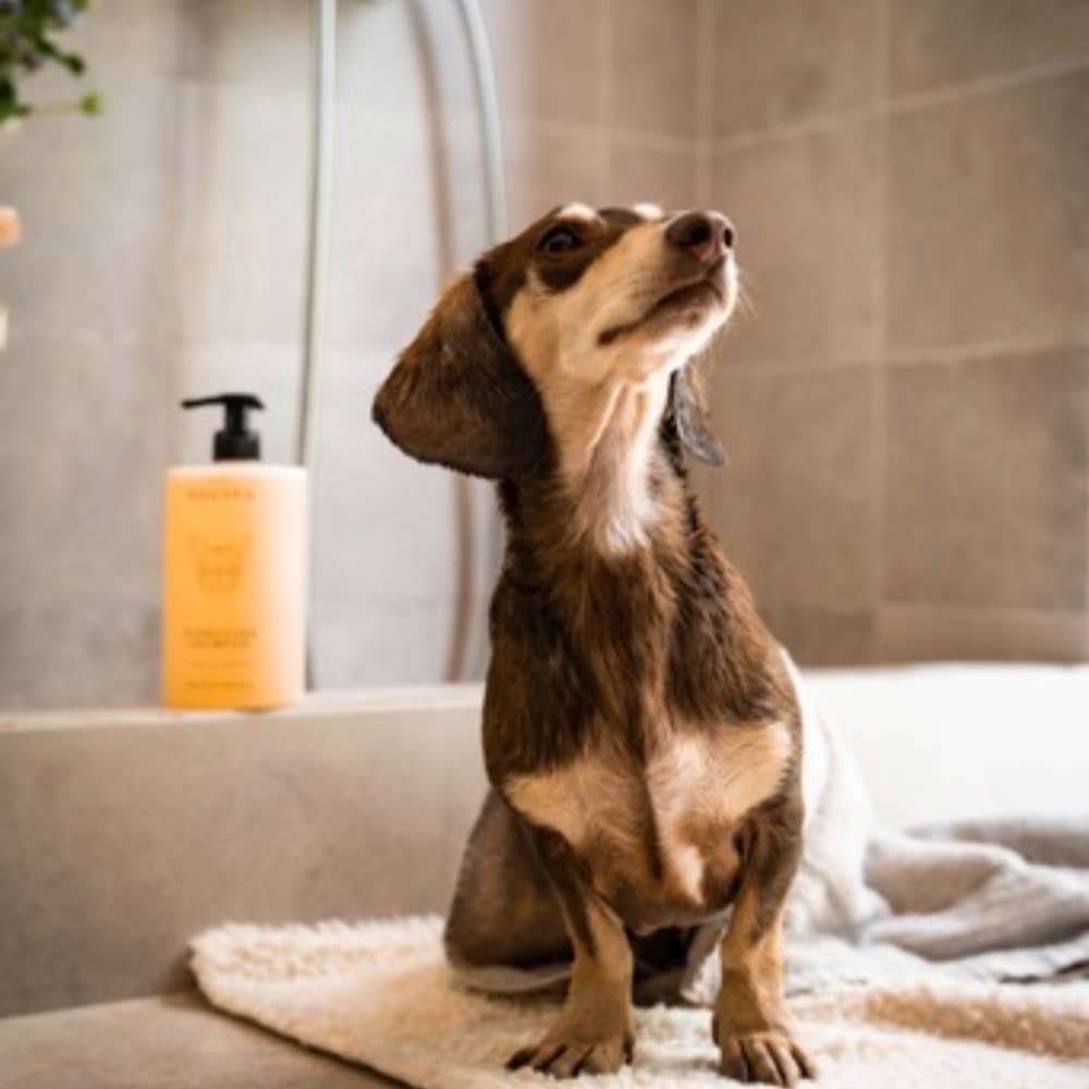 Hydrating Dog Shampoo