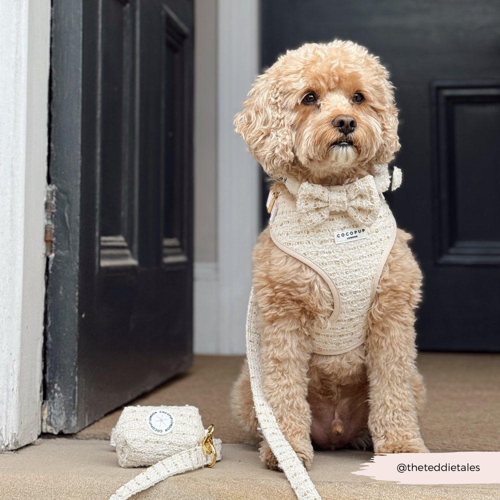 Vaniljestrukturert  tweed hundekoppel