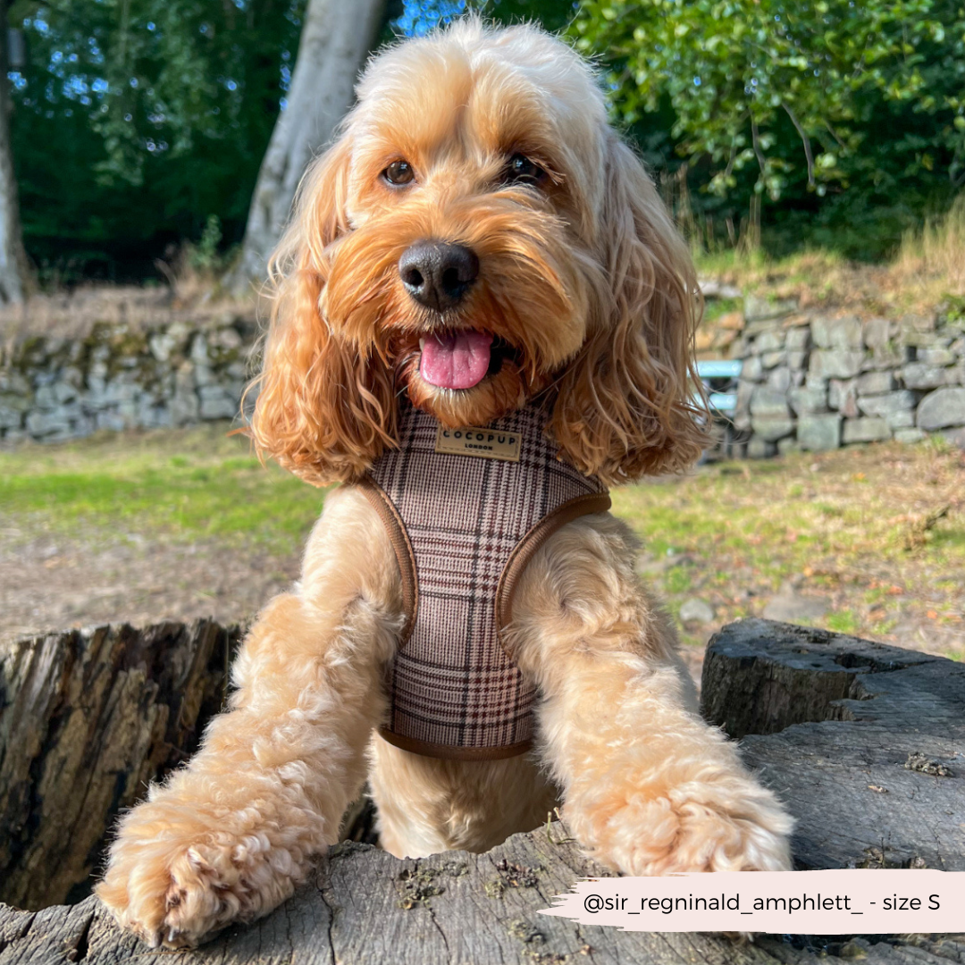 Pup Plaid Justerbar hundesele