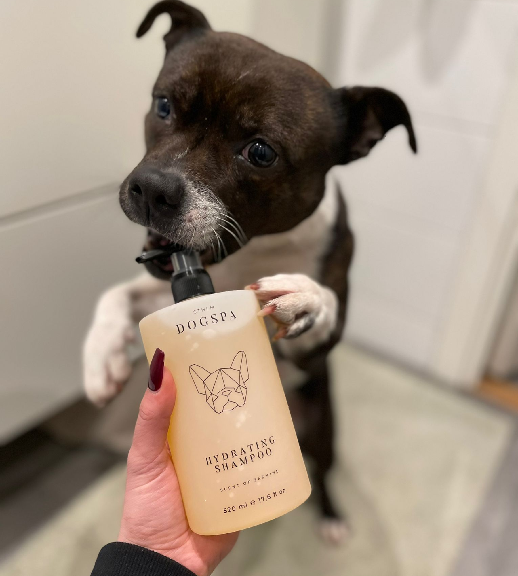 Hydrating Dog Shampoo