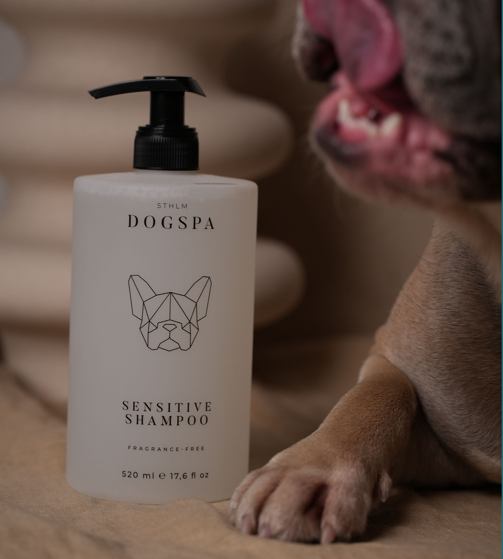 Sensitive Dog Shampoo