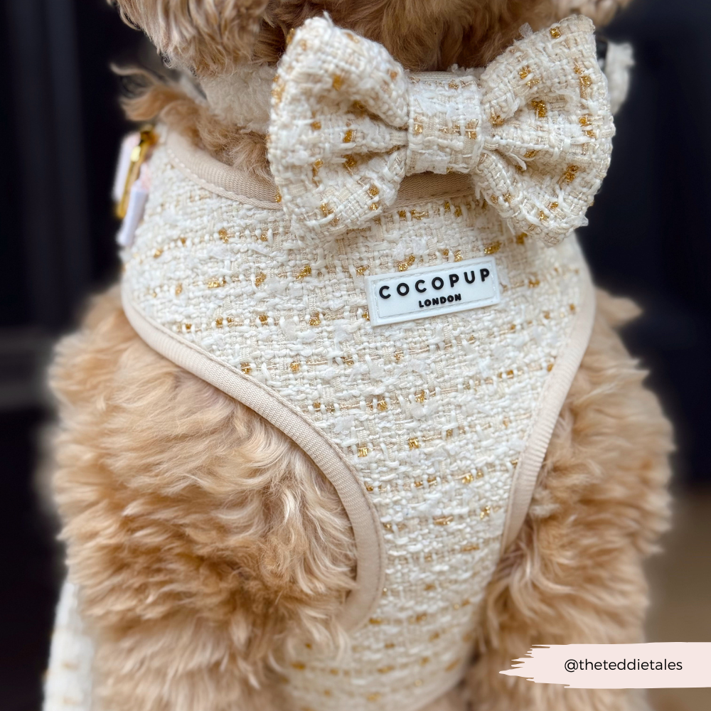 Vaniljestrukturert tweed justerbar hundesele