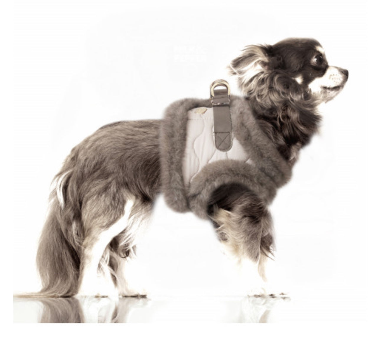 ENOLA HARNESS fra Milk & Pepper