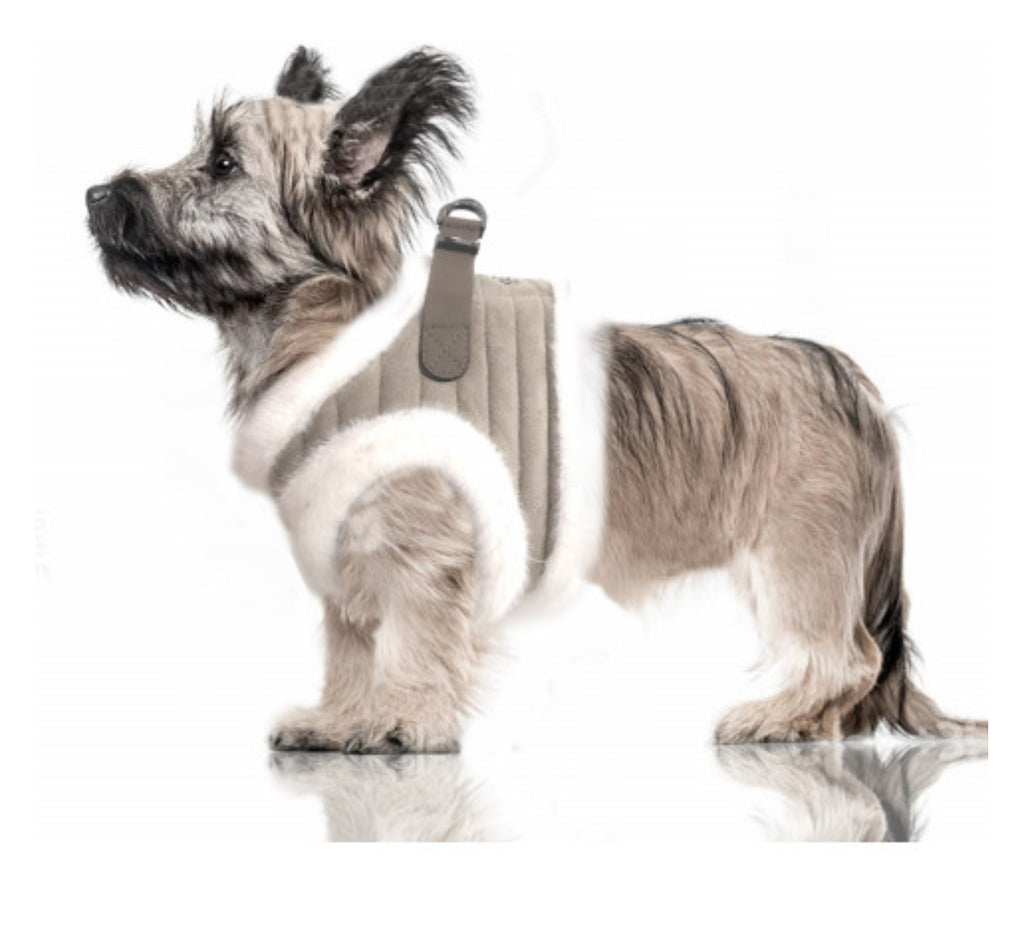 KASPAR HARNESS fra Milk & Pepper