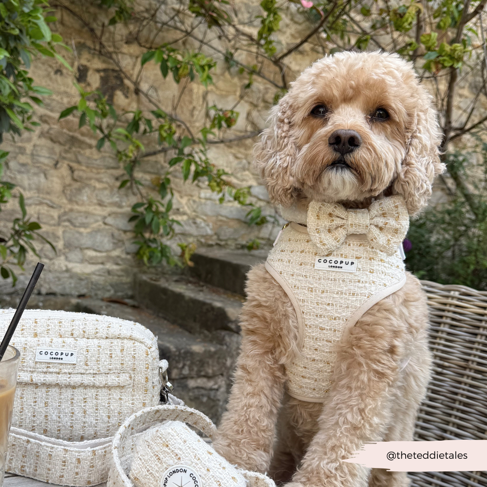 Vaniljestrukturert tweed justerbar hundesele