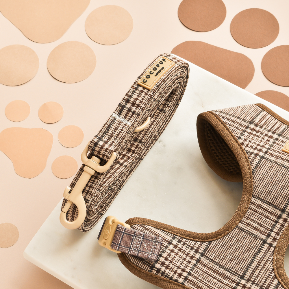 Pup Plaid Hundekoppel